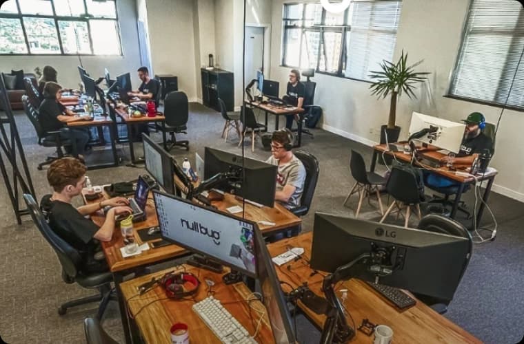 Nullbug's technical team of software developers and programmers working and doing projects in their day to day.